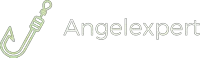 Angel Expert
