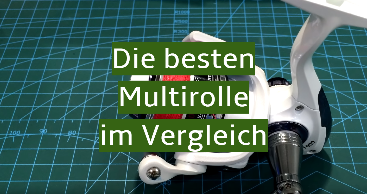 Multirolle Test-Überblick 2020: Die besten im Vergleich für unter 50 ...