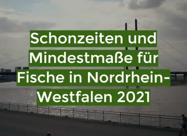 Schonzeiten und Mindestmaße für Fische in Nordrhein-Westfalen 2021