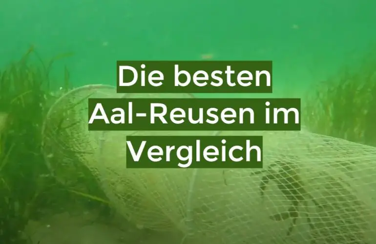 Aal-Reuse Test 2022: Die besten 5 Aal-Reusen im Vergleich